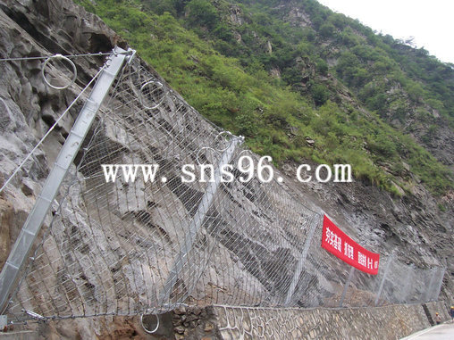 RX-025被動(dòng)防護(hù)網(wǎng)