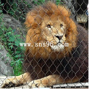 動(dòng)物園用網(wǎng)-隨時(shí)隨地的門